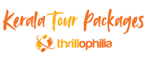 Kerala-Packages.png
